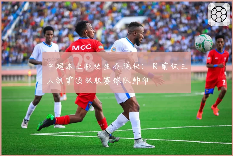 中超本土教练生存现状:目前仅三人执掌顶级联赛球队帅印