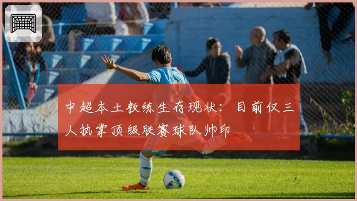 中超本土教练生存现状:目前仅三人执掌顶级联赛球队帅印