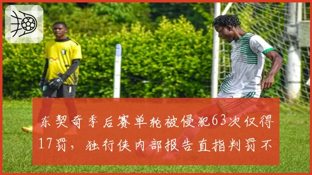 东契奇季后赛单轮被侵犯63次仅得17罚，独行侠内部报告直指判罚不公